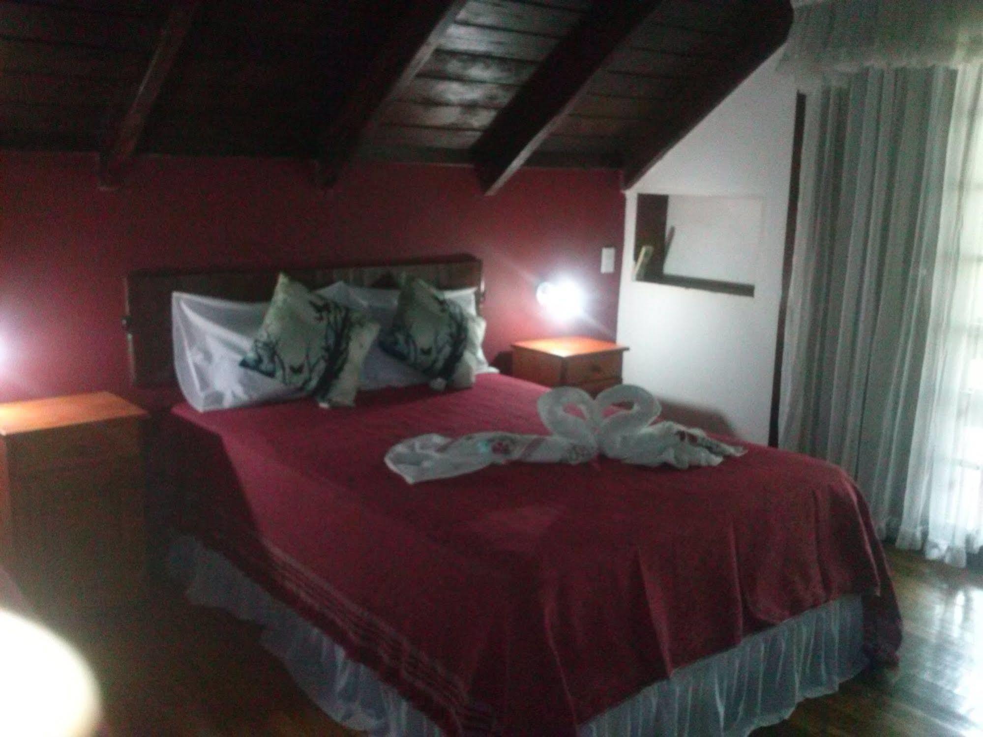 Petit Caraguata Puerto Iguazú