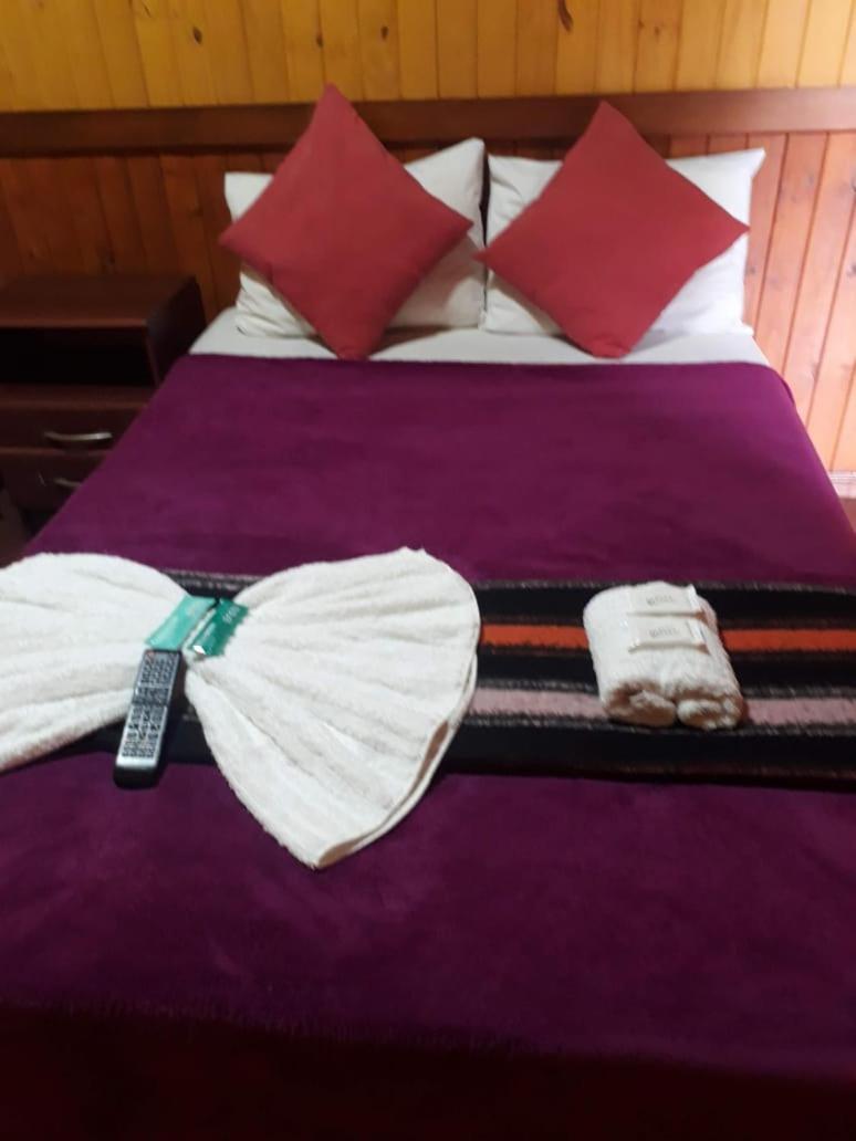 Petit Caraguata Puerto Iguazú